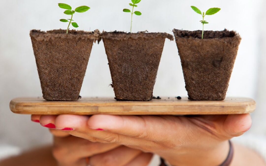 Paring back services can help your practice grow