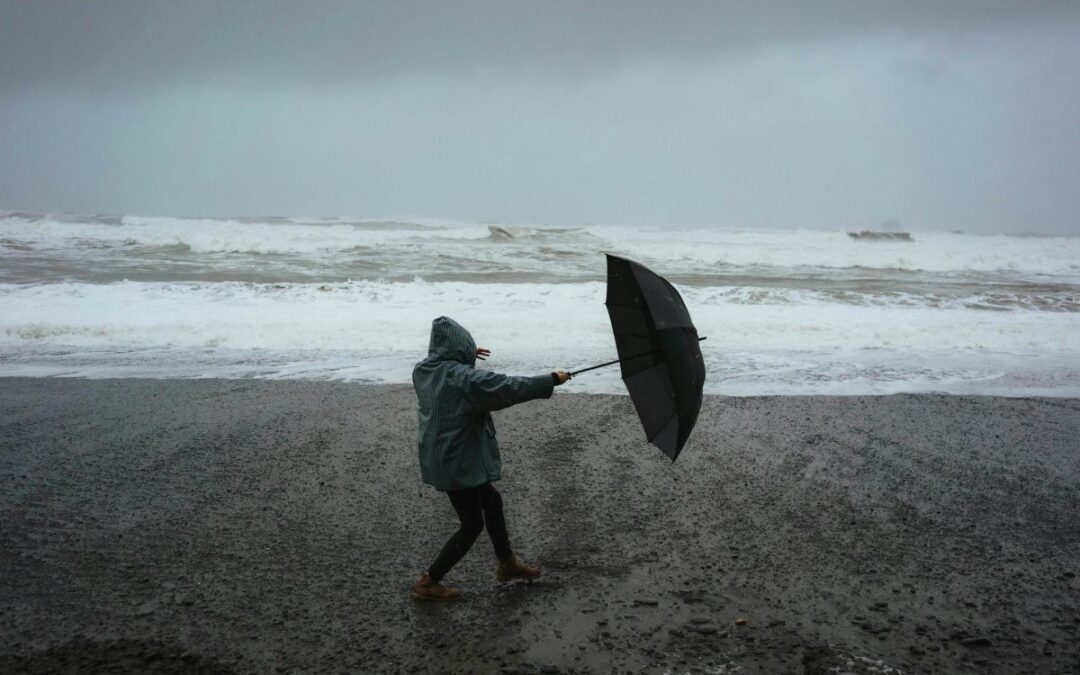 How to weather the storm with Trump’s tariffs