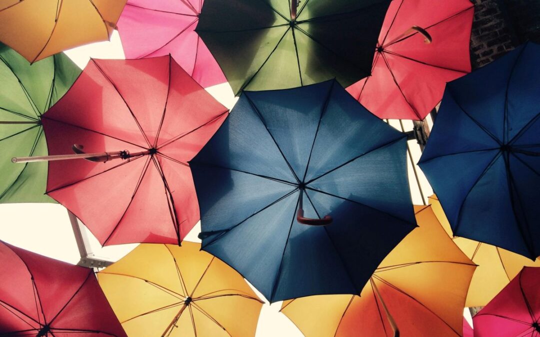 Rainy Days and Your Backup Plan