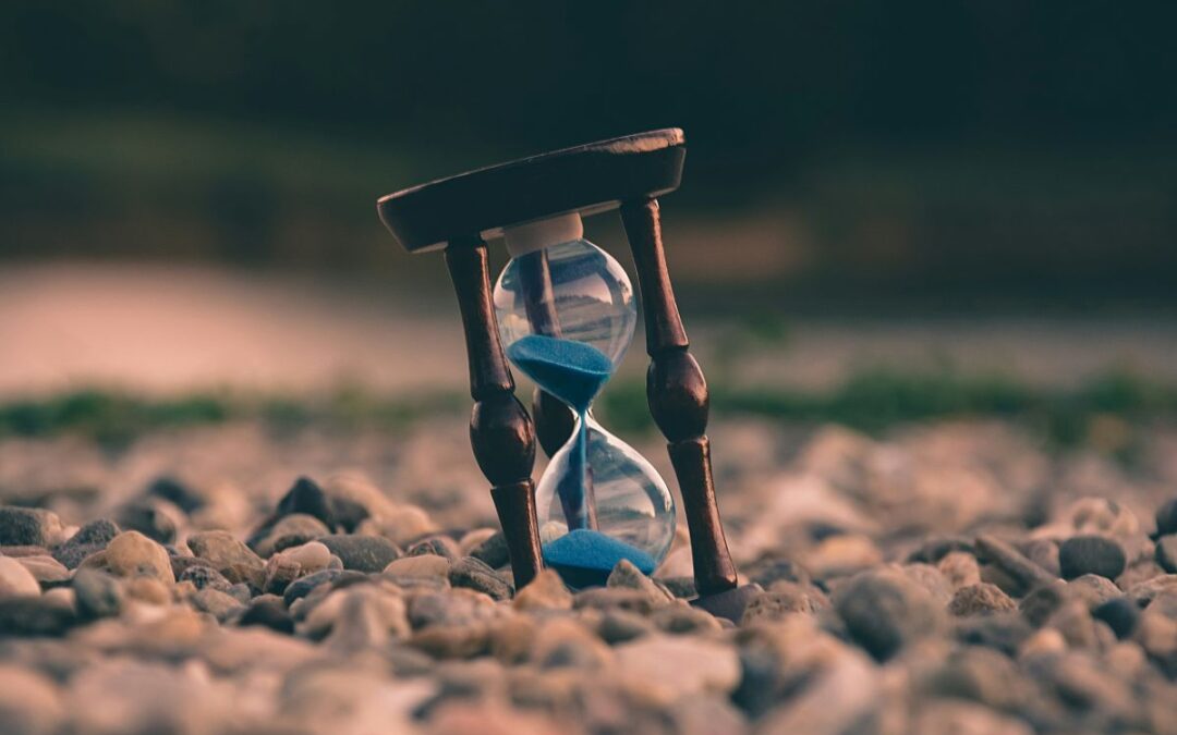 If You Had a Little More Time, What Would You Fill It With?